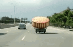 【唐樂宮】百因必有果，你愛吃的月餅就是我！(圖1)